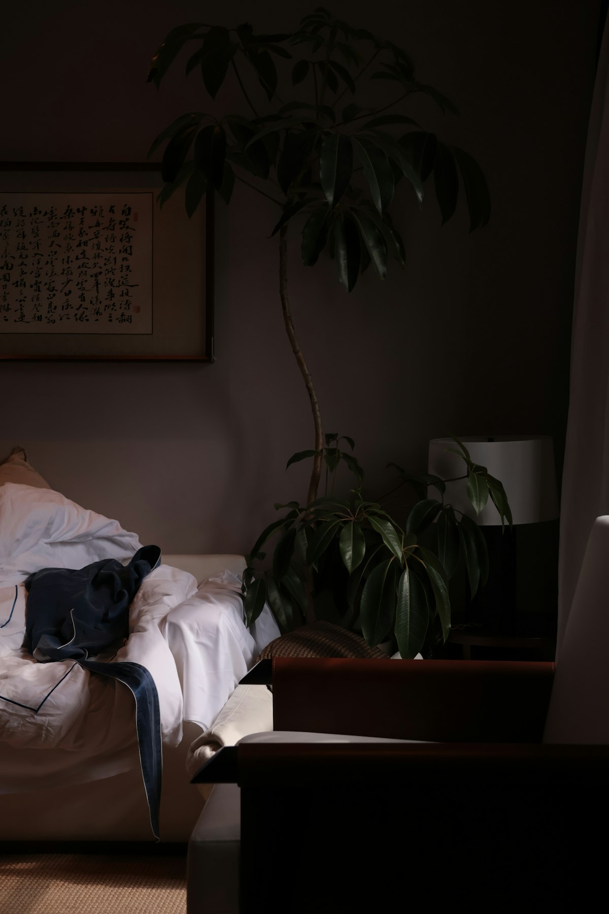 9 Evening Habits That Lower Cortisol Before Bed