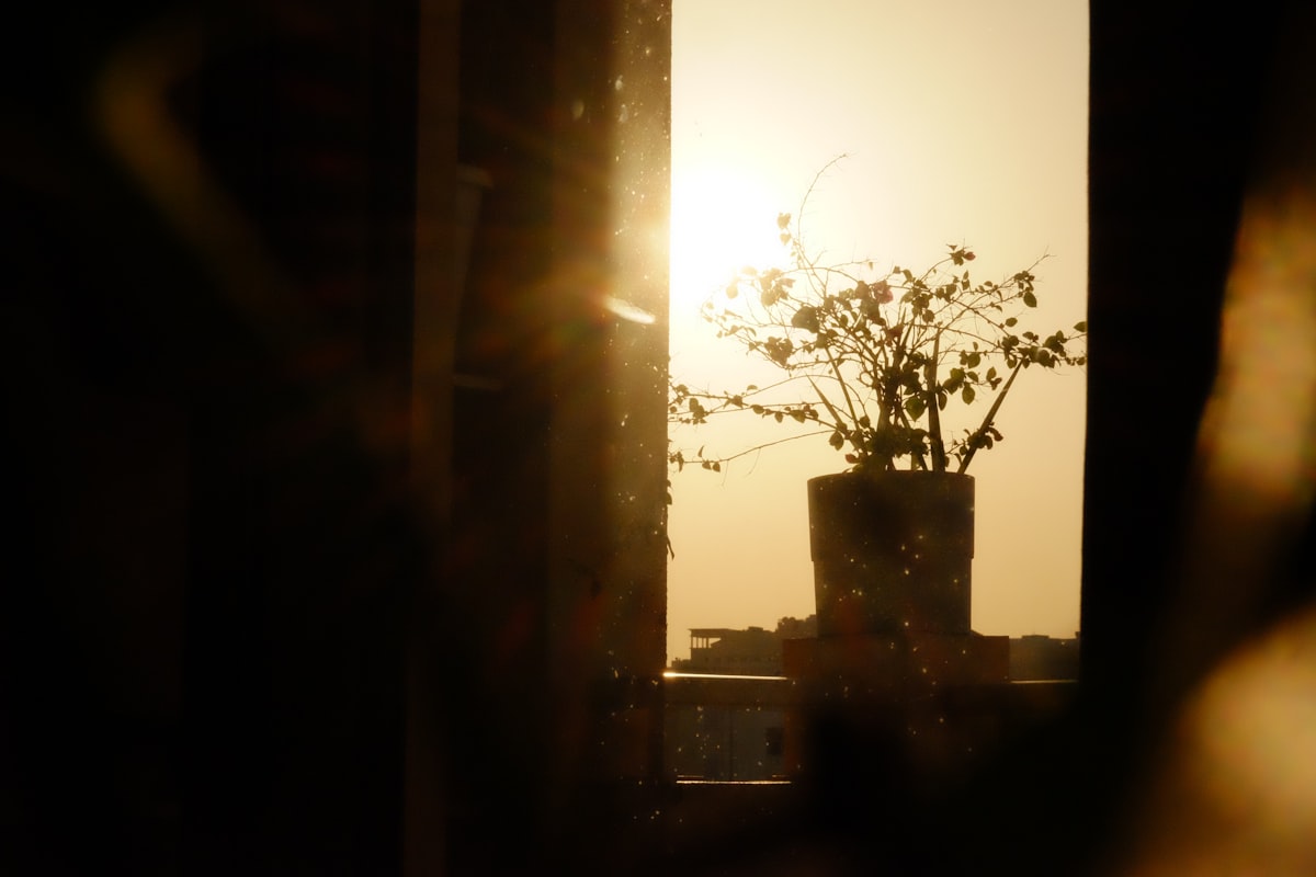 Are Sunrise Alarm Clocks Worth It