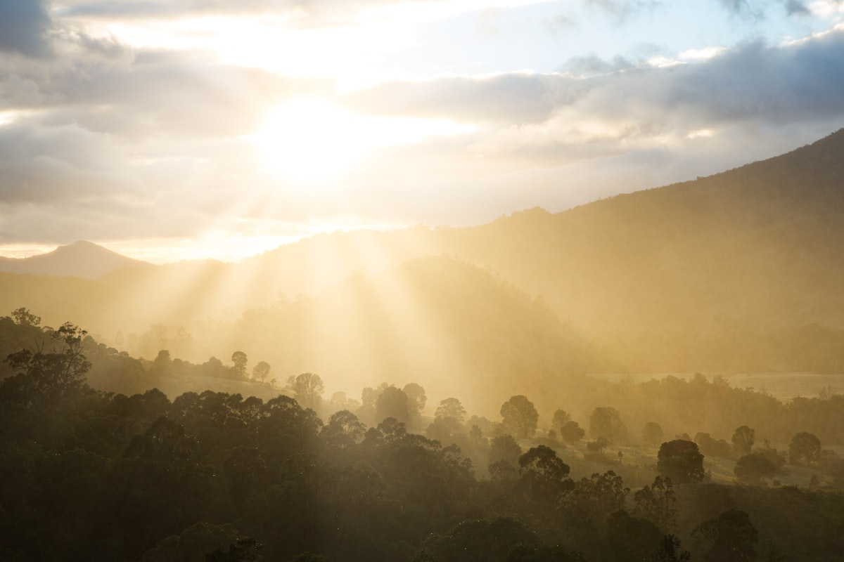Bright Mornings Make Early Bedtimes Easier