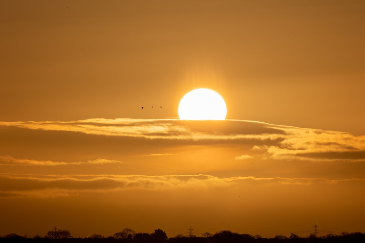 Can You Get Too Much Morning Light