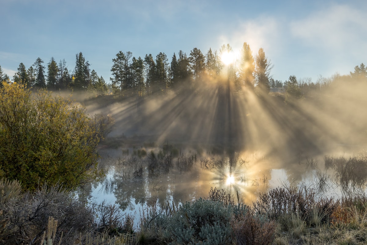 Circadian Rhythm Explained Simply
