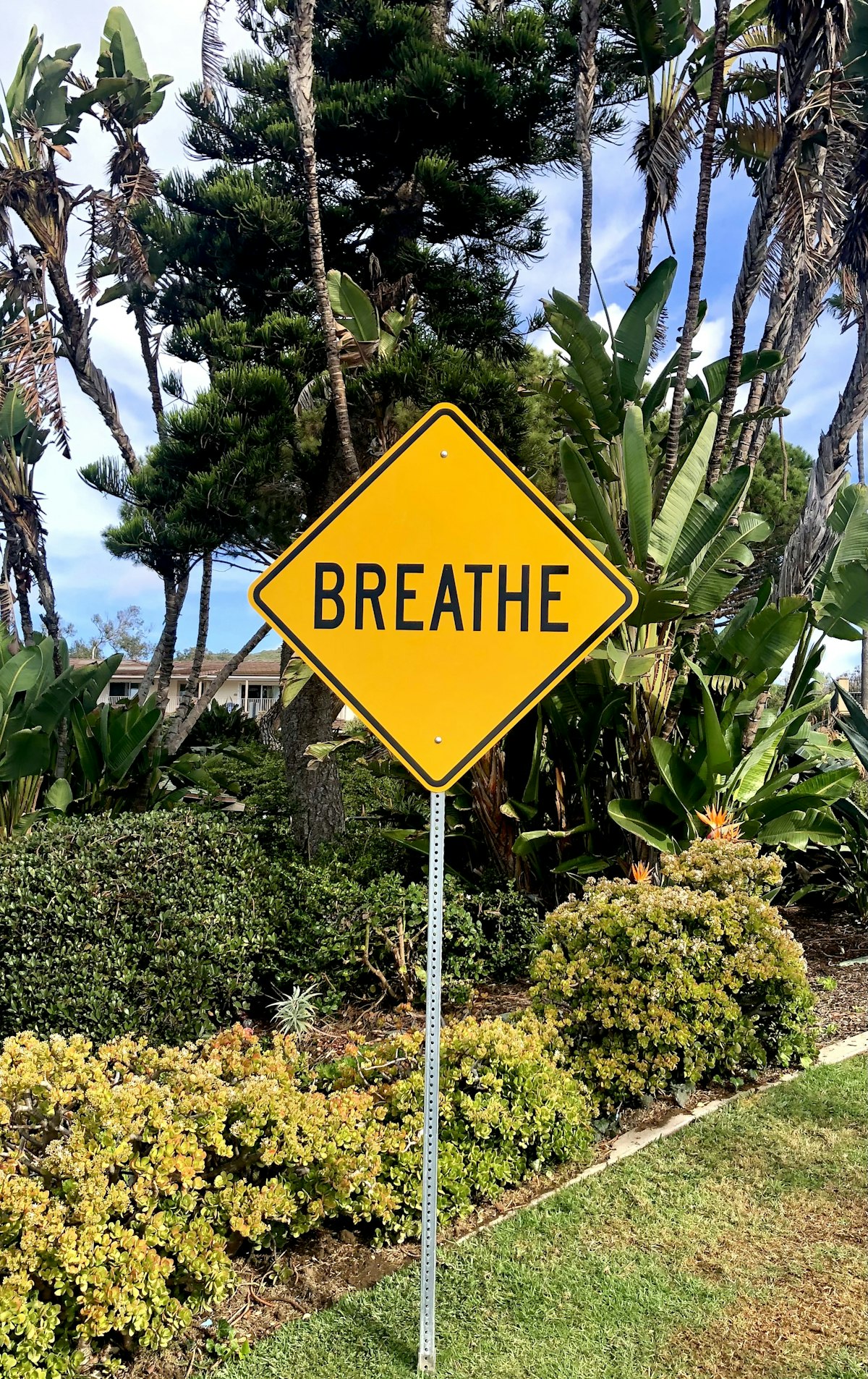 Sleep-themed photo for cyclic sighing a breathing trick for sleep