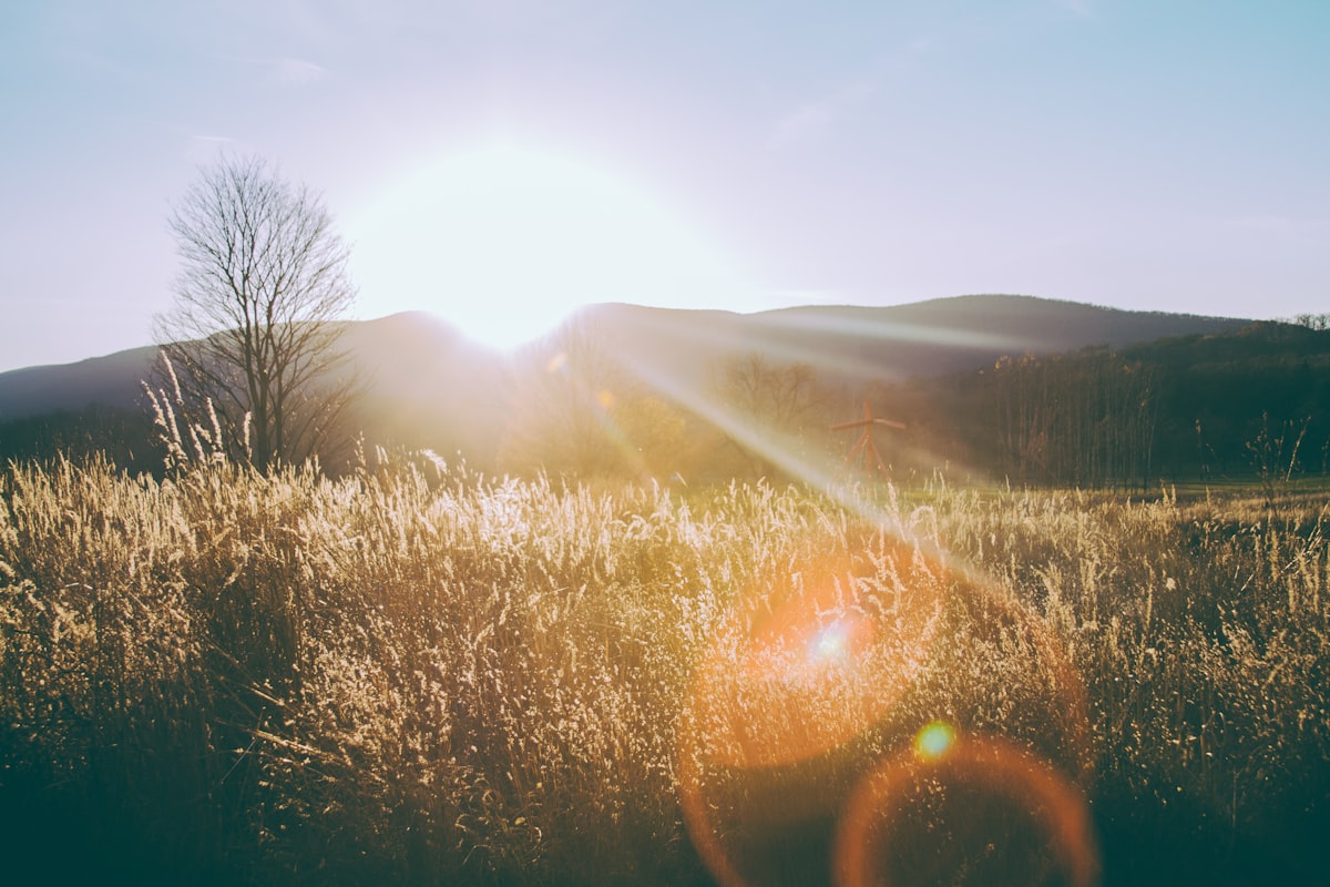 Sleep-themed photo for does morning light help insomnia what evidence shows