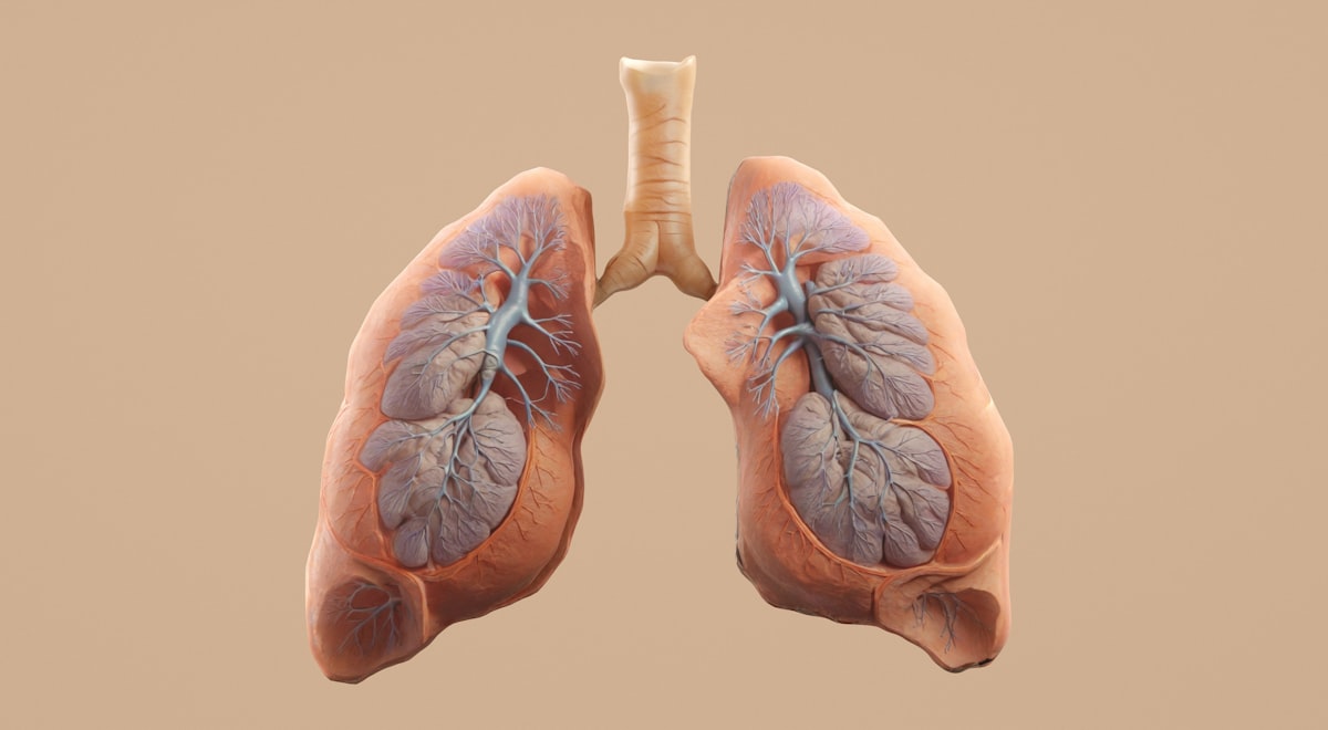 Sleep-themed photo for how box breathing helps at 3am wake ups