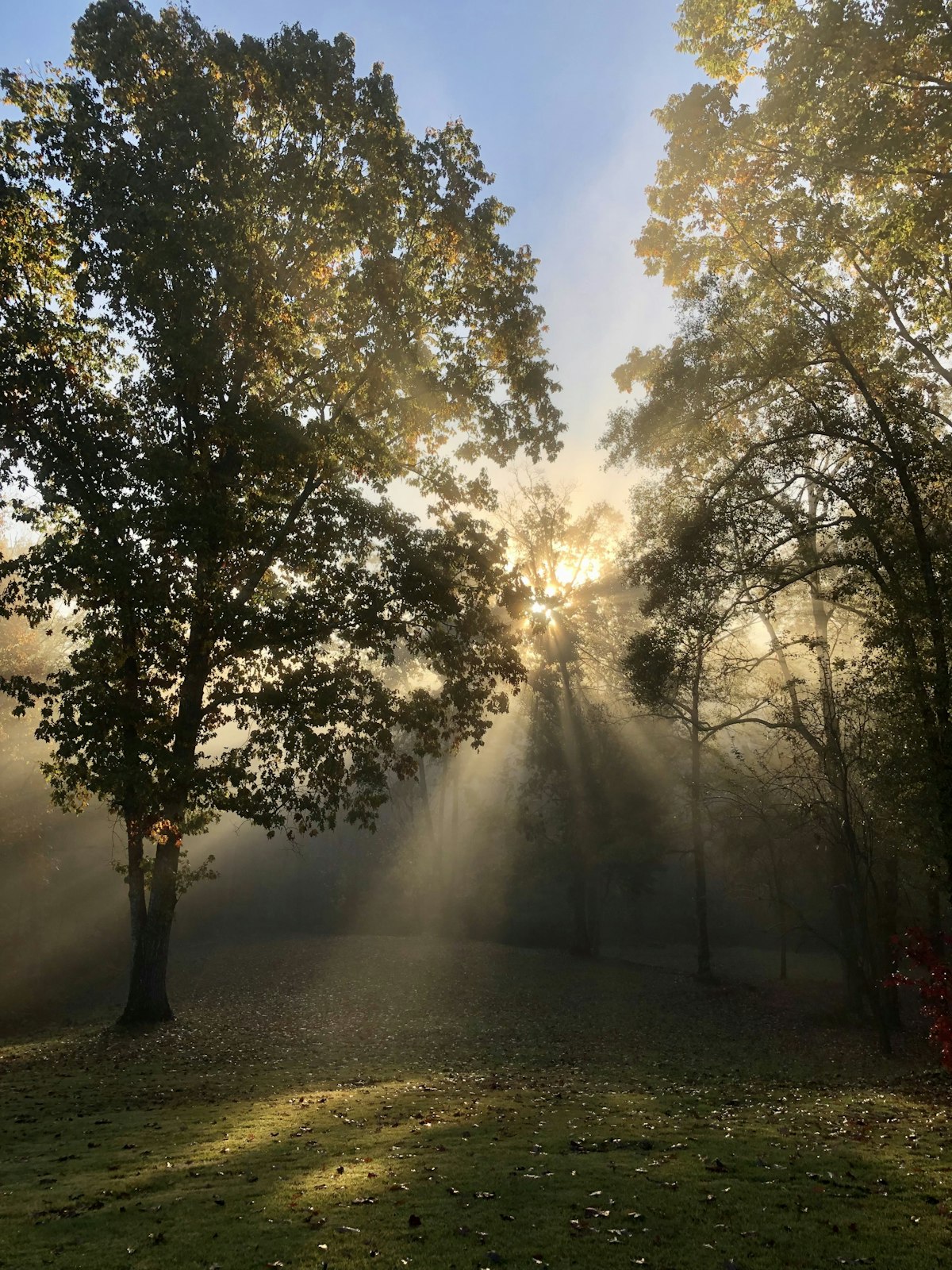 Sleep-themed photo for how morning light fixes a delayed body clock