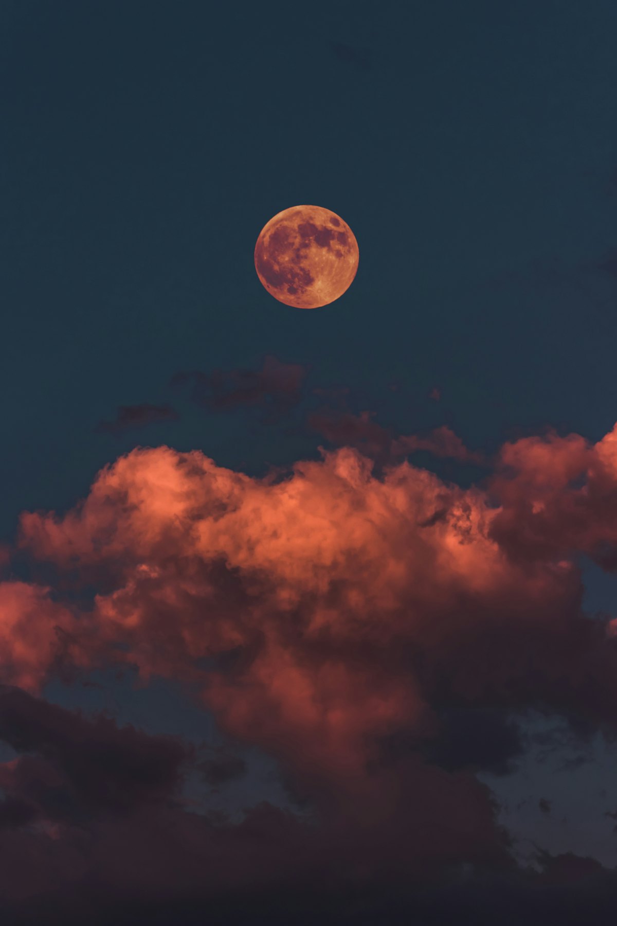 Sleep-themed photo: moon night — a Sleep, Finally guide to melatonin is a darkness signal not a sedative
