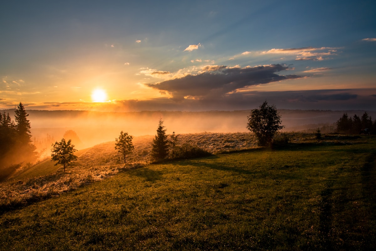 Sleep-themed photo: sunset field — a Sleep, Finally guide to morning light and melatonin the timing chain