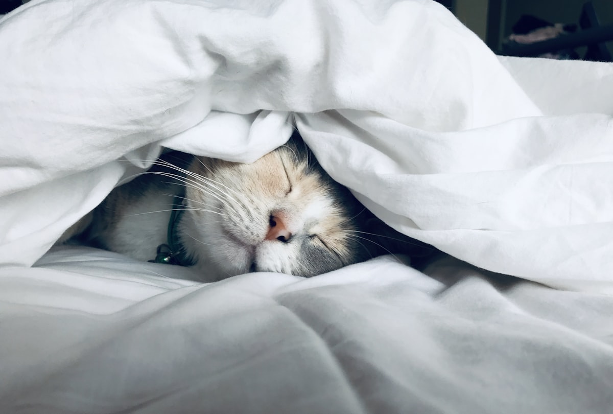 Sleep-themed photo: tired woman — a Sleep, Finally guide to postpartum insomnia why you cannot sleep when tired