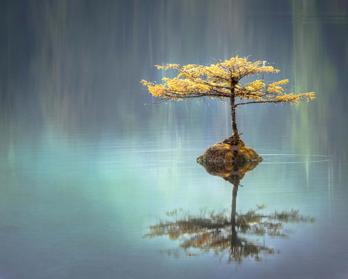 night - a Sleep, Finally guide to Segmented Sleep: Is Waking at Night Natural?
