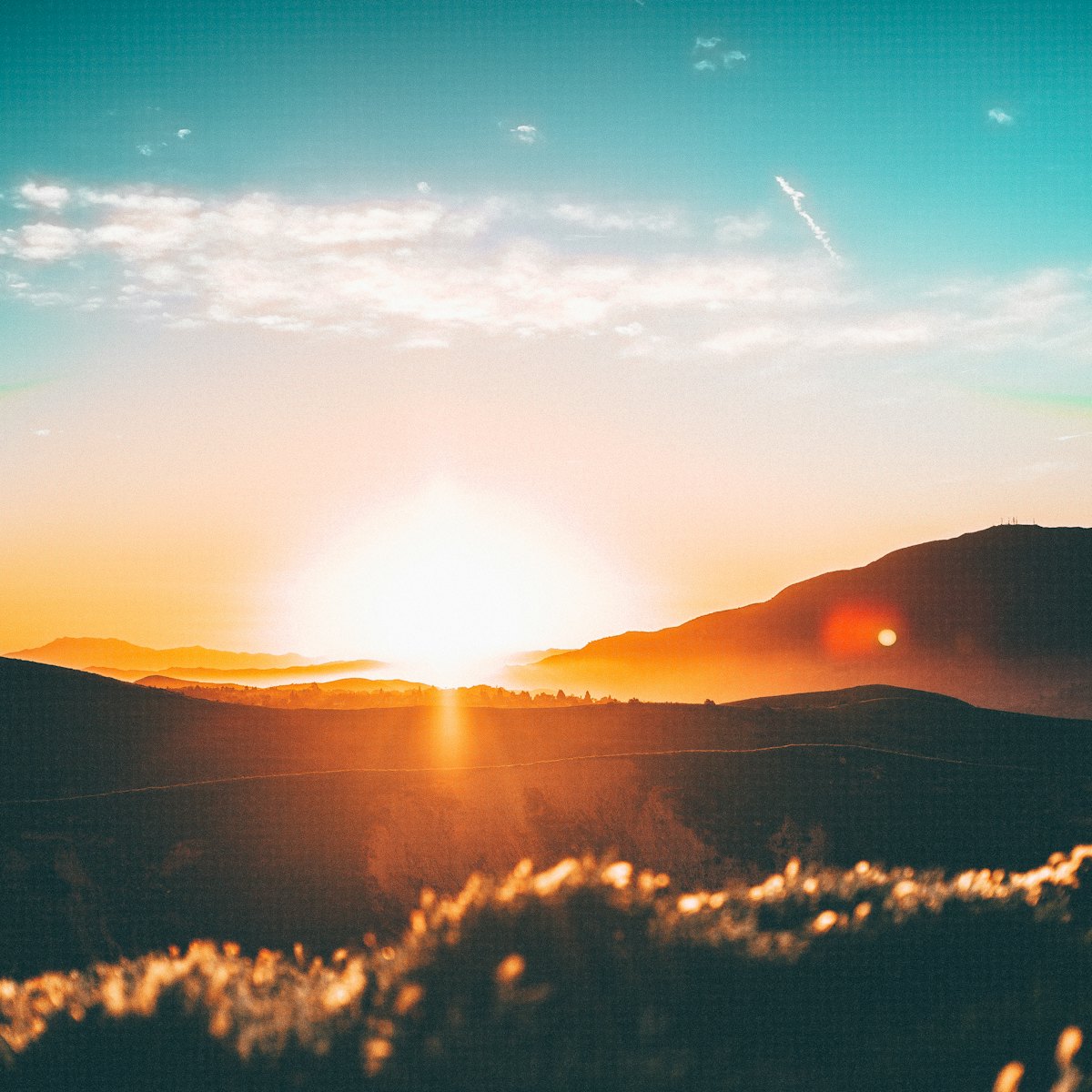 morning - a Sleep, Finally guide to Sleep Inertia: Why Long Naps Leave You Groggy