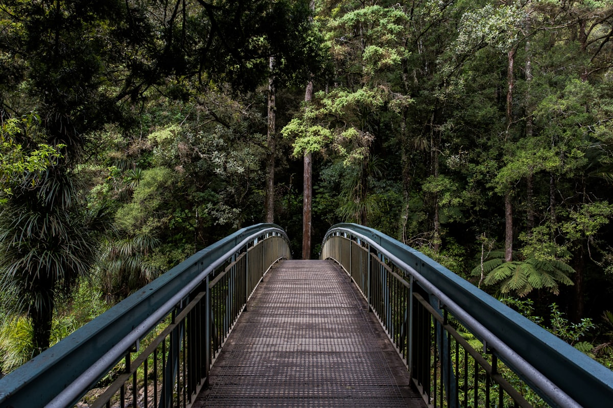 morning - a Sleep, Finally guide to Daylight Saving Exhaustion: Why It Lasts and How to Fix It