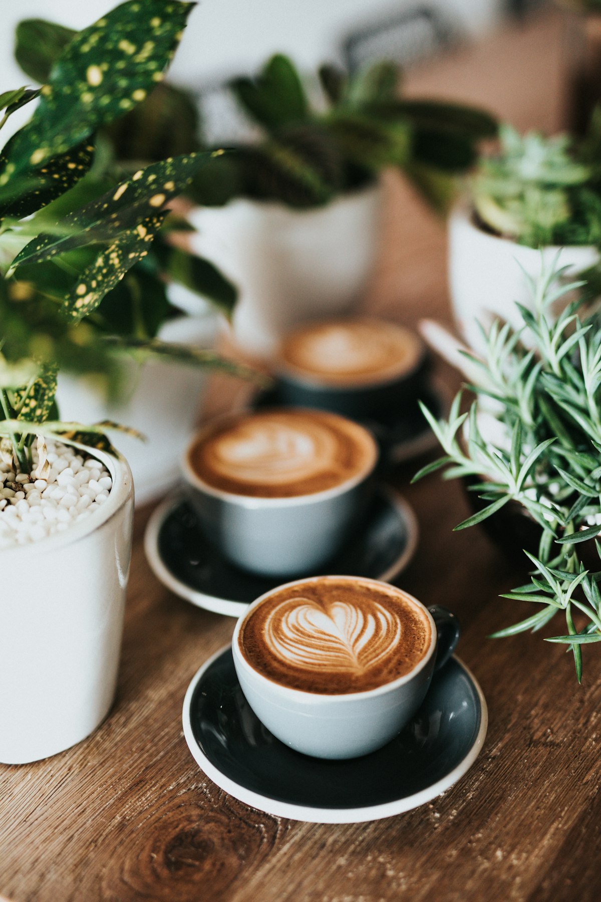 caffeine - a Sleep, Finally guide to The 10-Day Caffeine Reset for Better Sleep (How to Do It)