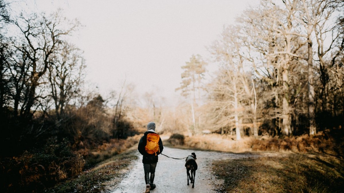 A person walking a dog on a path in the woods. — a Sleep Finally guide to The Dog Walker's Advantage: Built-In Morning Light.