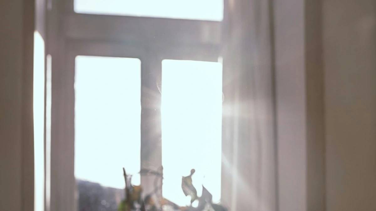 A steaming white mug on a wooden table in front of a sunlit window — a Sleep, Finally guide to Why Does Coffee Make Me Tired Later? The Loan Comes Due